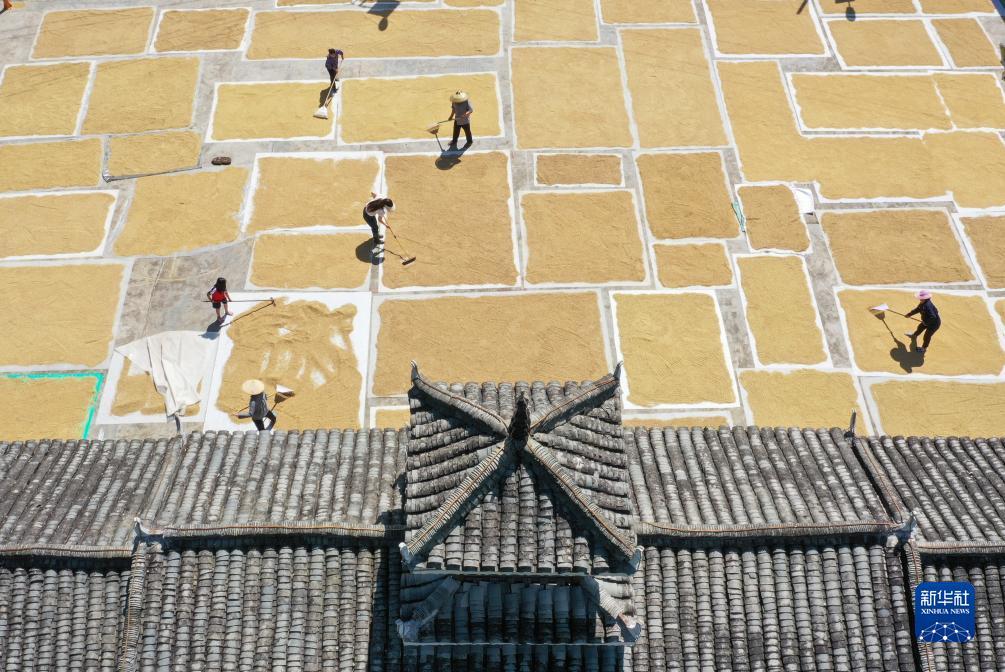 合乐888登录平台最新